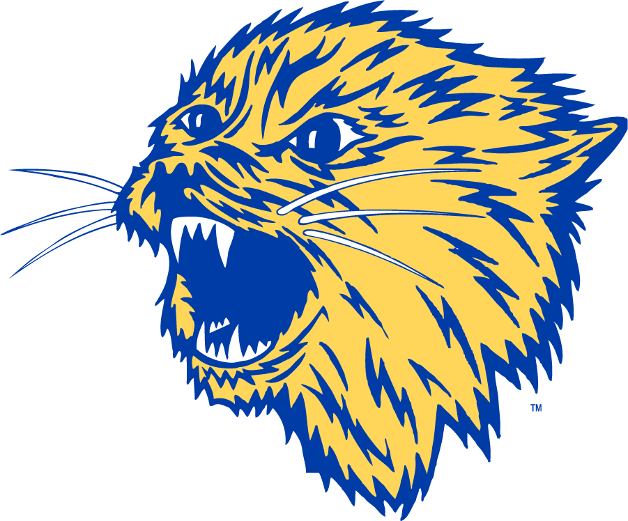 Montana State Bobcats 1965-1995 Secondary Logo t shirts iron on transfers